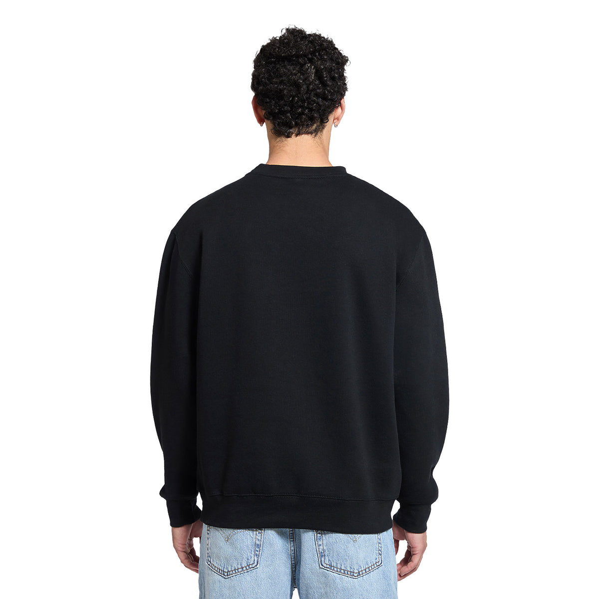 Lane Seven Premium Crewneck Sweatshirt in Black, worn, back