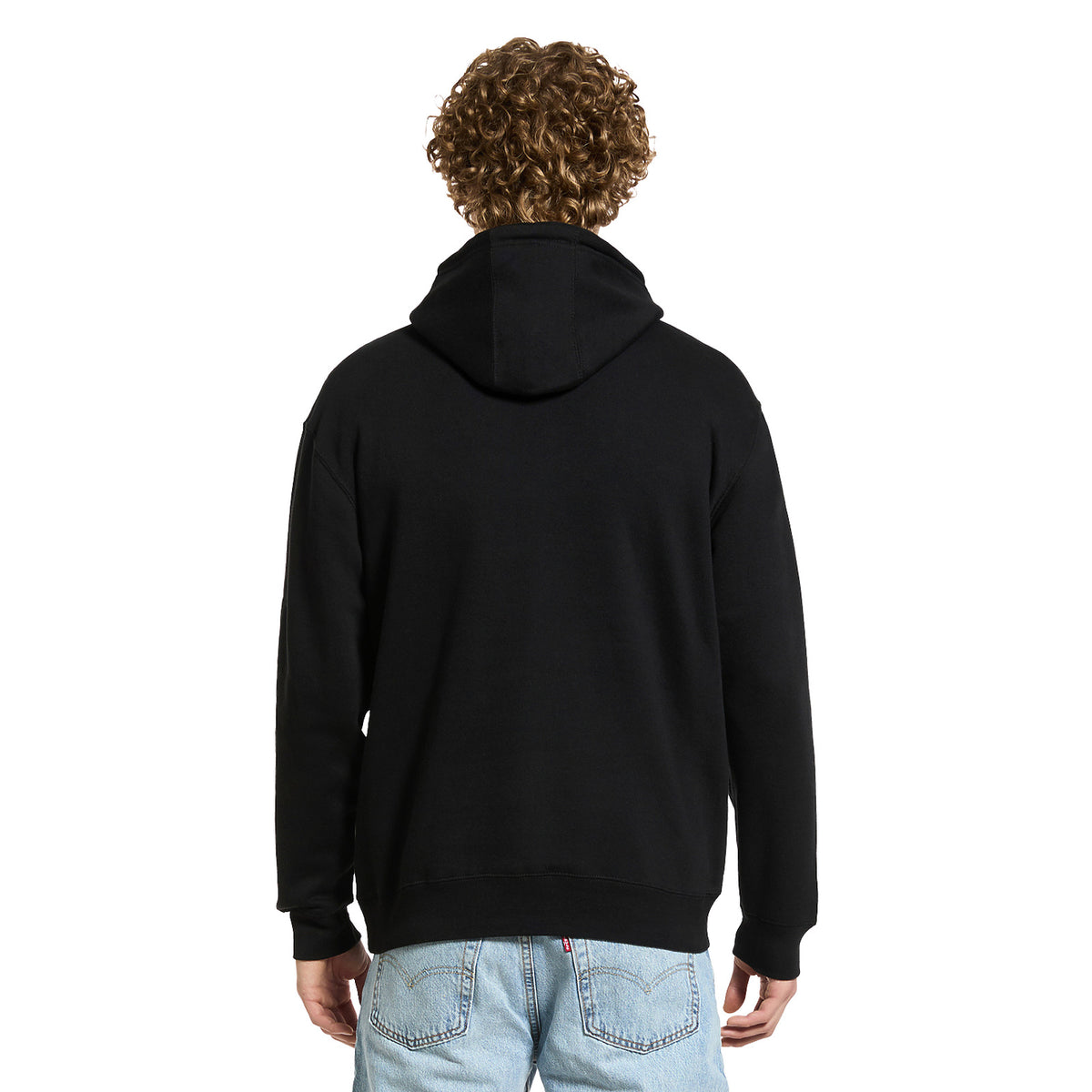 Lane Seven Premium Pullover Hoodie in Black, worn, back